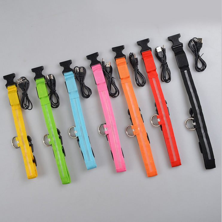 Nylon LED Pet Dog