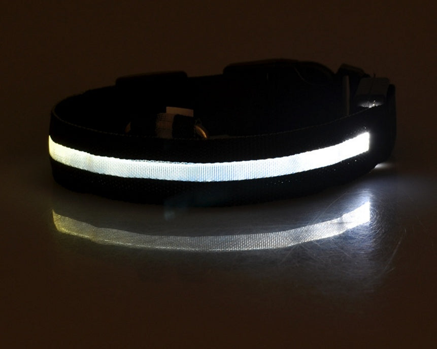 Nylon LED Pet Dog