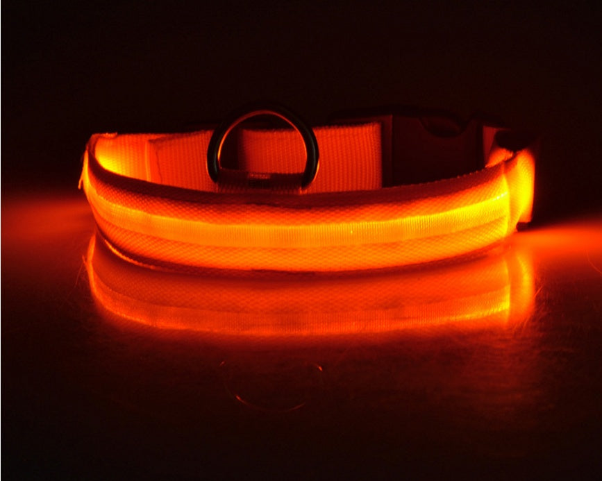 Nylon LED Pet Dog