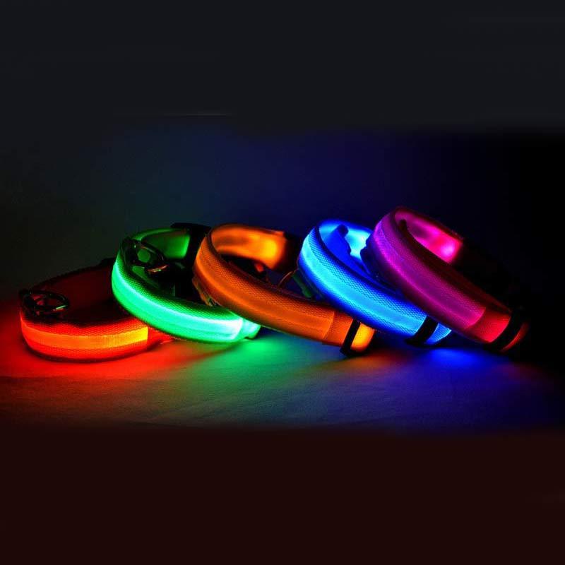 Nylon LED Pet Dog